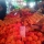 Farmers' Markets - Saturday's Alacati Bazaar